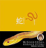 いきものアート・7・蛇