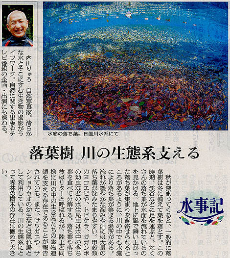 �a�̎R�ł̘A��