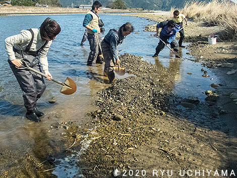 銚子川の調査