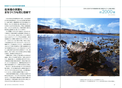 ワニガメ／ナショナル・ジオグラフィック日本版