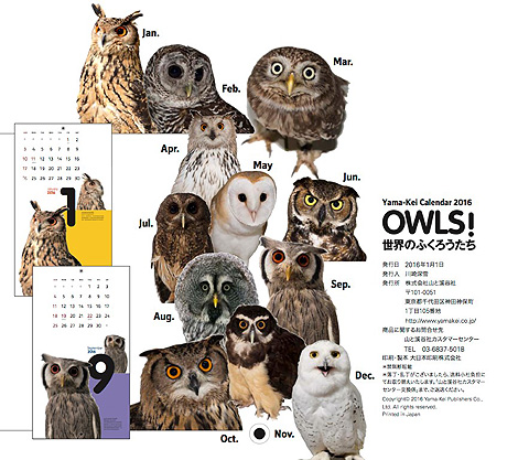 世界のフクロウ・カレンダー OWLS！