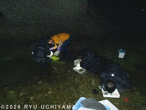 ���l���Ńp���_