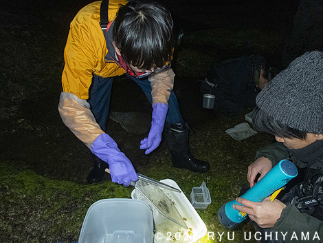 ���l���Ńp���_