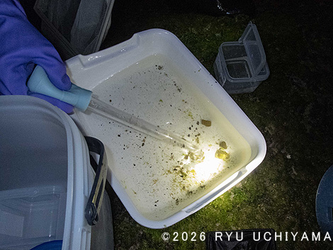 ���l���Ńp���_