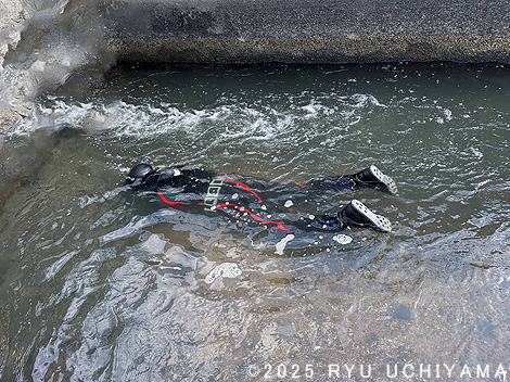 ���H�ł̎B�e