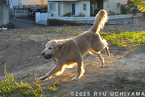 ���H�ł̎B�e