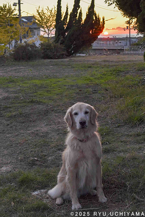 ���H�ł̎B�e